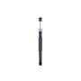 FCS Struts 346581 Shock Absorber