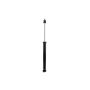 FCS Struts 346660 Shock Absorber