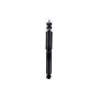 FCS Struts 346783 Shock Absorber