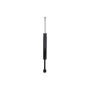 FCS Struts 346832 Shock Absorber