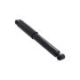 FCS Struts 347523 Shock Absorber