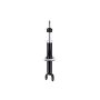 FCS Struts 355131 Shock Absorber