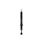 FCS Struts 355134 Suspension Strut