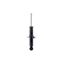 FCS Struts 355155 Suspension Strut