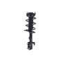 FCS Struts 4331622L Suspension Strut and Coil Spring Assembly
