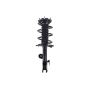 FCS Struts 4331622L Suspension Strut and Coil Spring Assembly