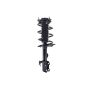 FCS Struts 4331622R Suspension Strut and Coil Spring Assembly