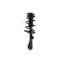 FCS Struts 4331660L Suspension Strut and Coil Spring Assembly