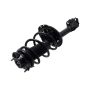 FCS Struts 4331660L Suspension Strut and Coil Spring Assembly