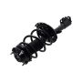 FCS Struts 4331660R Suspension Strut and Coil Spring Assembly