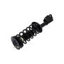 FCS Struts 4331778L Suspension Strut and Coil Spring Assembly
