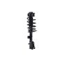 FCS Struts 4331821L Suspension Strut and Coil Spring Assembly