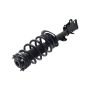 FCS Struts 4331821L Suspension Strut and Coil Spring Assembly