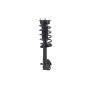 FCS Struts 4333363L Suspension Strut and Coil Spring Assembly