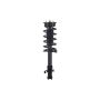 FCS Struts 4333363L Suspension Strut and Coil Spring Assembly