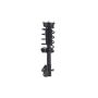 FCS Struts 4333363R Suspension Strut and Coil Spring Assembly