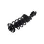 FCS Struts 4333392R Suspension Strut and Coil Spring Assembly