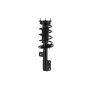 FCS Struts 4333489L Suspension Strut and Coil Spring Assembly