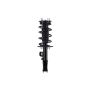 FCS Struts 4333489R Suspension Strut and Coil Spring Assembly
