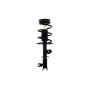 FCS Struts 4333564L Suspension Strut and Coil Spring Assembly