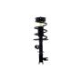FCS Struts 4333564R Suspension Strut and Coil Spring Assembly