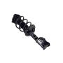 FCS Struts 4333957L Suspension Strut and Coil Spring Assembly