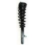 FCS Struts 4335543L Suspension Strut and Coil Spring Assembly