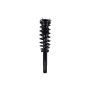 FCS Struts 4335790 Suspension Strut and Coil Spring Assembly