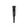 FCS Struts 4335790 Suspension Strut and Coil Spring Assembly