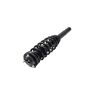 FCS Struts 4335790 Suspension Strut and Coil Spring Assembly