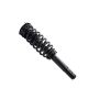 FCS Struts 4335790 Suspension Strut and Coil Spring Assembly