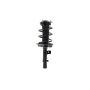 FCS Struts 4335909L Suspension Strut and Coil Spring Assembly
