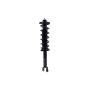 FCS Struts 4345685L Suspension Strut and Coil Spring Assembly