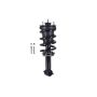 FCS Struts 4355037 Suspension Strut and Coil Spring Assembly