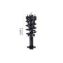 FCS Struts 4355037 Suspension Strut and Coil Spring Assembly