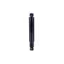 FCS Struts 442861 Shock Absorber
