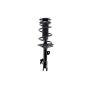 FCS Struts 5331660L Suspension Strut and Coil Spring Assembly