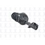 FCS Struts 5331660L Suspension Strut and Coil Spring Assembly