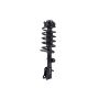FCS Struts 5331821L Suspension Strut and Coil Spring Assembly
