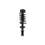FCS Struts 5331821L Suspension Strut and Coil Spring Assembly
