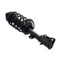 FCS Struts 5331821L Suspension Strut and Coil Spring Assembly