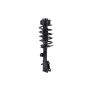 FCS Struts 5331821R Suspension Strut and Coil Spring Assembly
