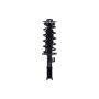 FCS Struts 5333392L Suspension Strut and Coil Spring Assembly