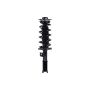 FCS Struts 5333392R Suspension Strut and Coil Spring Assembly