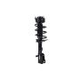 FCS Struts 5333406L Suspension Strut and Coil Spring Assembly
