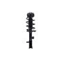 FCS Struts 5333406L Suspension Strut and Coil Spring Assembly