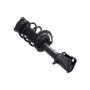 FCS Struts 5333406L Suspension Strut and Coil Spring Assembly