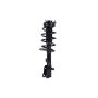 FCS Struts 5333406R Suspension Strut and Coil Spring Assembly
