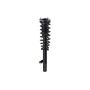 FCS Struts 5335543L Suspension Strut and Coil Spring Assembly