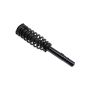 FCS Struts 5335543L Suspension Strut and Coil Spring Assembly